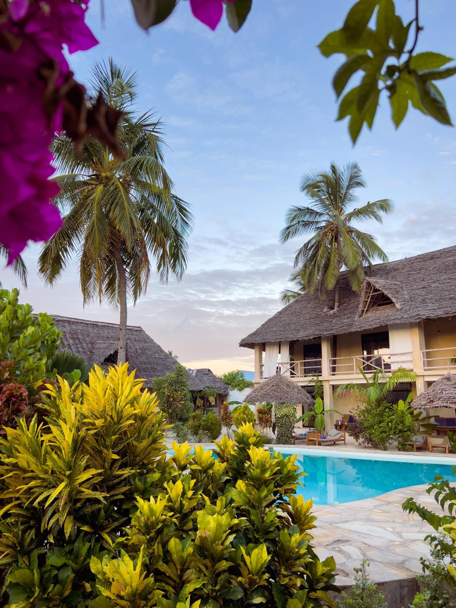 Hotel pool view